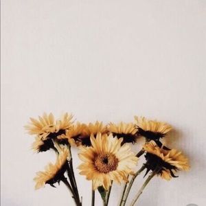 Meet your Posher, Toni